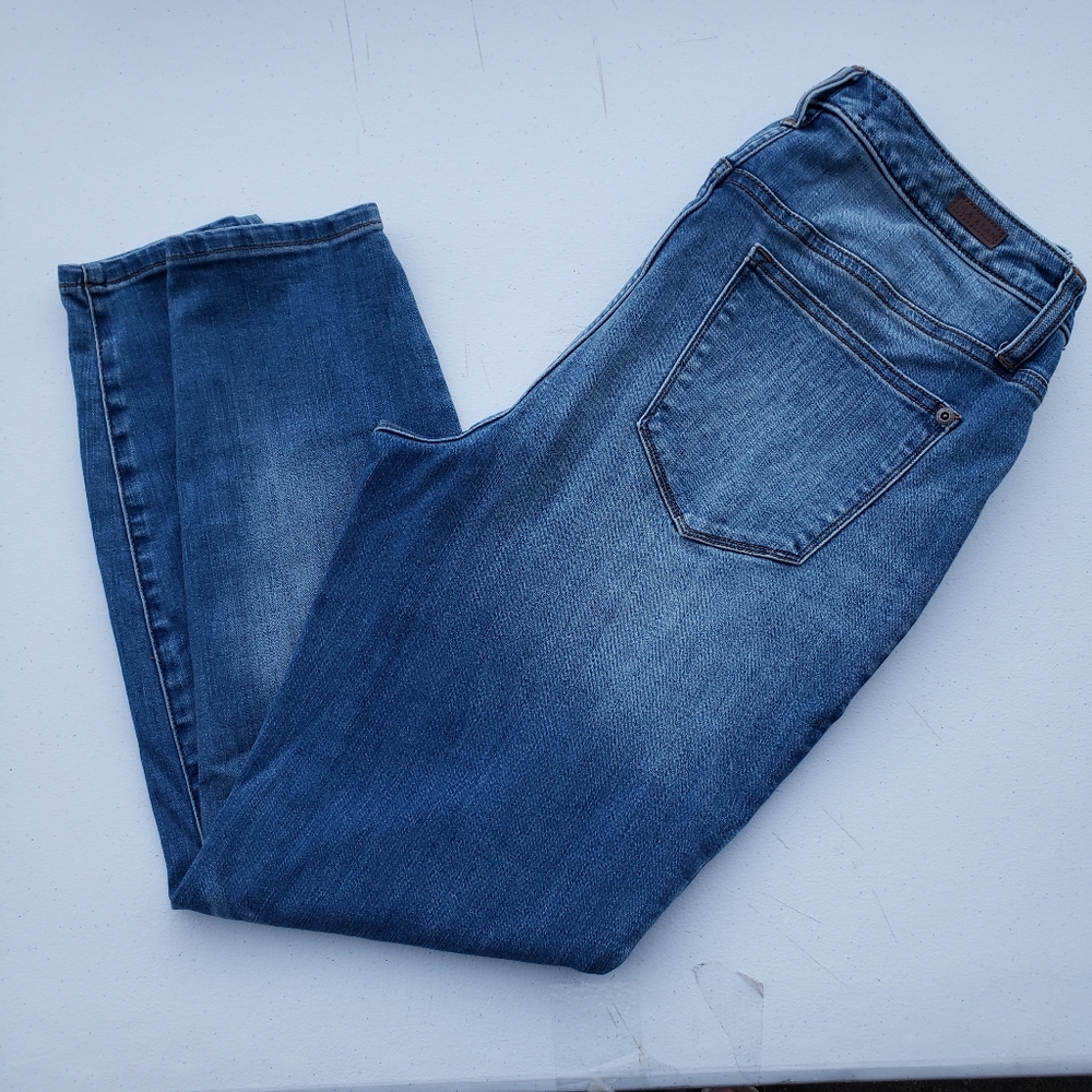 Lila Ryan Exposed Button Fly High Waist Mason Skinny Jeans Size 14W